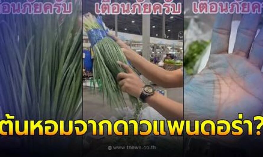 พ่อค้าผักฝากถึงผู้บริโภค ลูบใบโชว์ เจอสีฟ้าติดมือเพียบ ทำชาวเน็ตเสียงแตก