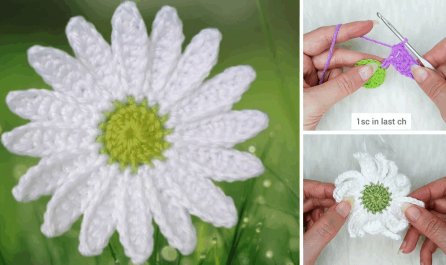 How To Crochet A Daisy Flower