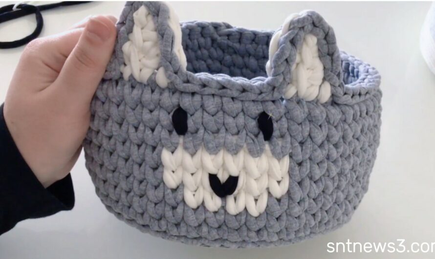 Crochet Mini Bear Basket With T-shirt Yarn