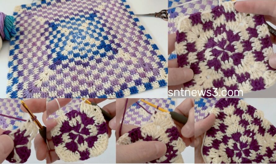 The Beauty That Small Crochet Touches Bring to Motifs🧚🦋