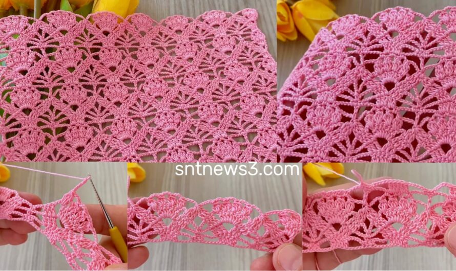 Amazing Crochet Pattern🌟Blouse, Shawl Pattern Tutorial for Beginners How to Make