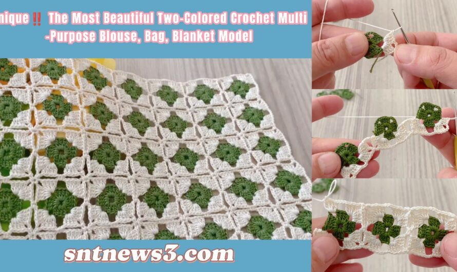 Unique‼️ The Most Beautiful Two-Colored Crochet Multi-Purpose Blouse, Bag, Blanket Model